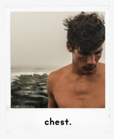 Chest Hair Png, Transparent Png, Transparent PNG