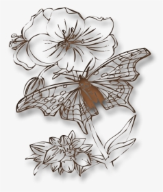 Swirl Png Transparent 800 X - Butterflies To Color, Png Download, Transparent PNG