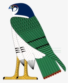 Horus Falcon Png, Transparent Png, Transparent PNG