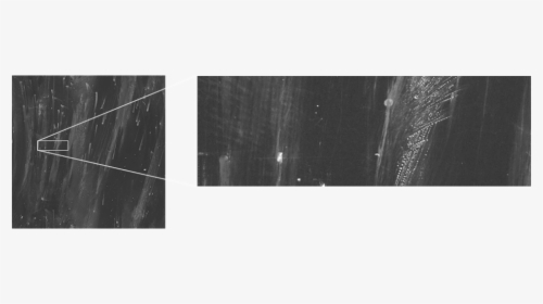 Dynamicrange - Monochrome, HD Png Download, Transparent PNG