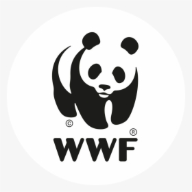 Wwf Logo Beled - Wwf Logo, HD Png Download, Transparent PNG