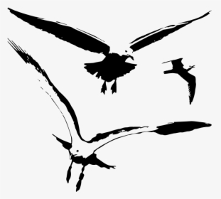 Transparent Birds Silhouette Png - Svg Seagull Silhouette, Png Download, Transparent PNG