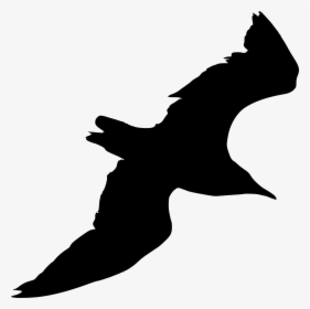 Transparent Seagull Clipart Black And White - Silhouette Seagull Png, Png Download, Transparent PNG
