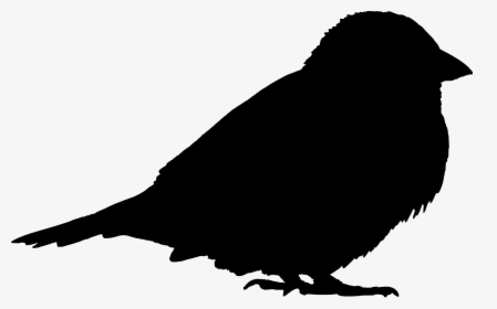 Filesparrow Silhouette - Sparrow Silhouette, HD Png Download, Transparent PNG