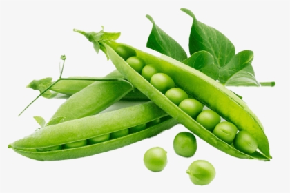 Green Beans Png Download Image - Peas Rich In Protein, Transparent Png, Transparent PNG
