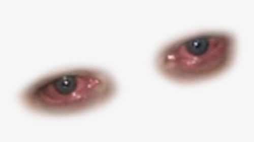 Brendan Fraser Eyes Png, Transparent Png, Transparent PNG