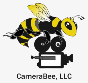 Cartoon Camera Png, Transparent Png, Transparent PNG