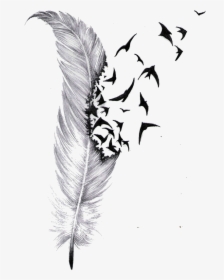 Transparent Feather Drawing Png - Feather And Bird Tattoo Designs, Png Download, Transparent PNG