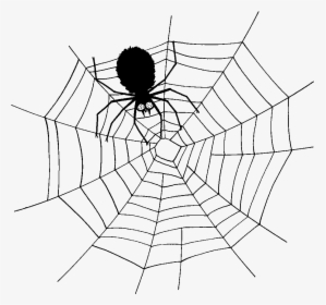 Spider Web Southern Black Widow Clip Art - King And The Spider Story, HD Png Download, Transparent PNG
