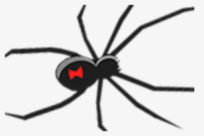Black Widow Spider Ornament , Png Download - Black Widow Clip Art, Transparent Png, Transparent PNG