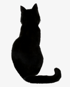 Black Cat Kitten Drawing - Black Cat Vector Png, Transparent Png, Transparent PNG