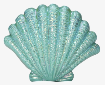 Blue Seashell Png Image - Transparent Sea Shell Png, Png Download, Transparent PNG