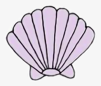 Sea Shell Seashell Mermaid Kawaii Pastel Freetoedit - Transparent Shell Clipart, HD Png Download, Transparent PNG