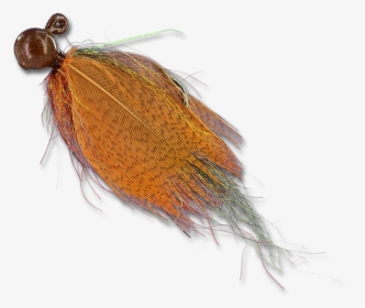 Float N Flies - Insect, HD Png Download, Transparent PNG
