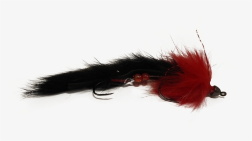 Flies June 2019 20 - Electric Blue, HD Png Download, Transparent PNG
