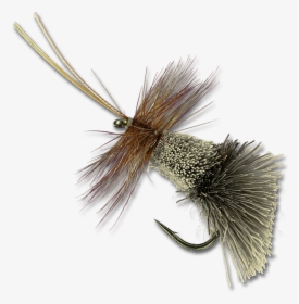 Goddard Caddis - Animal, HD Png Download, Transparent PNG