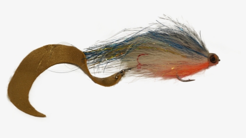 Flies June 2019 5, HD Png Download, Transparent PNG