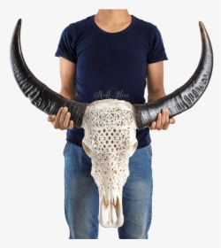 Carved Buffalo Skull - Trophy Skull Carve, HD Png Download, Transparent PNG