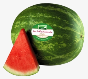 Watermelon Png Transparent Images - Watermelon Clip Art, Png Download, Transparent PNG