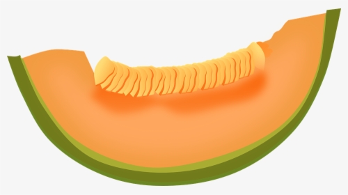 Cantaloupe Clipart, HD Png Download, Transparent PNG