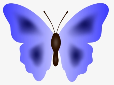 Butterfly - Short-tailed Blue, HD Png Download, Transparent PNG