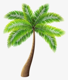 Palm Tree Png Clip Art - Palm Tree Transparent Background, Png Download, Transparent PNG