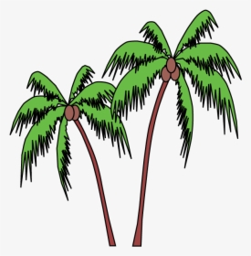Cartoon Palm Tree Gif Clipart Clip Art - Palm Tree Clipart Gif, HD Png Download, Transparent PNG