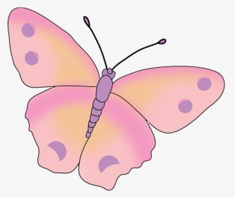 Pink Colored Butterfly Image - Beautiful Light Pink Butterfly, HD Png Download, Transparent PNG