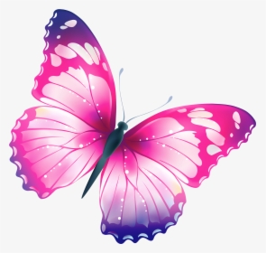 Transparent How To Find Clipart In Word - Butterfly Clipart Transparent Background, HD Png Download, Transparent PNG