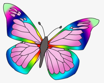 Rainbow Colored Butterfly Image - Beautiful Butterfly Pictures Color, HD Png Download, Transparent PNG