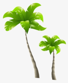 Tall Tree And Short Tree, HD Png Download, Transparent PNG
