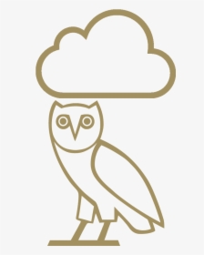 Curate An Ovo Playlist Based On The Current Weather - Transparent Ovo Owl Png, Png Download, Transparent PNG
