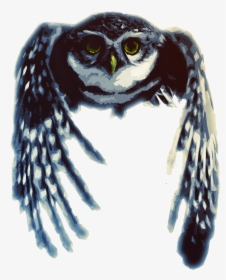 Owl Design Small - Screech Owl, HD Png Download, Transparent PNG