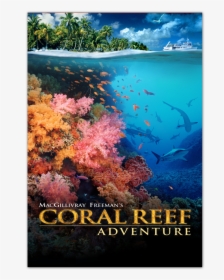 Coral Reef Adventure [blu-ray] - Macgillivray Freeman Coral Reef Adventure, HD Png Download, Transparent PNG