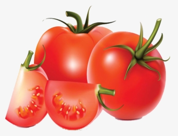 Royalty Free Stock Tomato Vegetable Transprent Png - Tomates Vector Png, Transparent Png, Transparent PNG