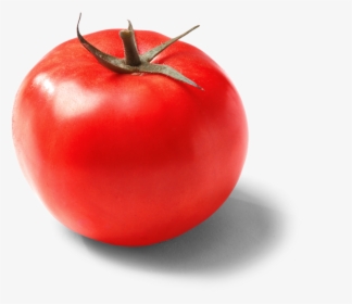 Single Pure Flavor Red Beefsteak Tomato - Single Cherry Tomato Png, Transparent Png, Transparent PNG