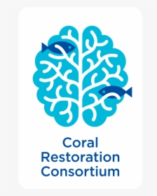 Coral Restoration Consortium, HD Png Download, Transparent PNG