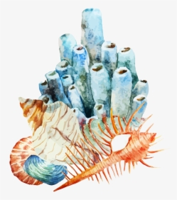 Coral Reef Watercolor Painting Illustration - Watercolor Coral Reef Png, Transparent Png, Transparent PNG