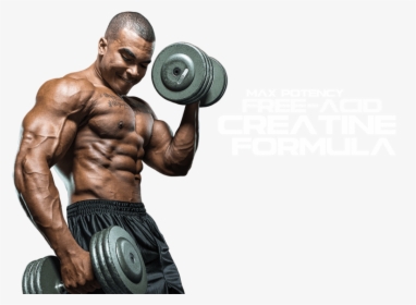 Free Png Muscle Man Png Images Transparent - Body Builder Images Png, Png Download, Transparent PNG