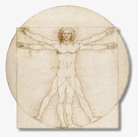 Education Of Humanism Drawing, HD Png Download, Transparent PNG