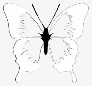 Laver And Wood Butterfly, HD Png Download, Transparent PNG