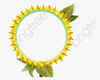 Transparent Sunflower Clipart Png - Border Bunga Matahari, Png Download, Transparent PNG