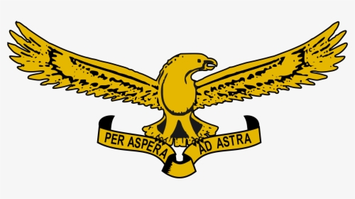 File South Air Force - South African Airforce Logo, HD Png Download, Transparent PNG