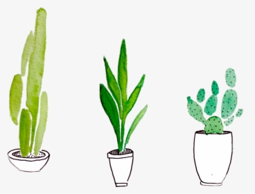 Plant Cactus Tumblr Green - Png Plants, Transparent Png, Transparent PNG