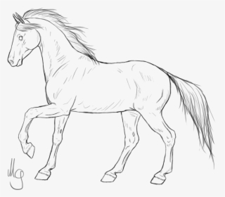 Mustang Horses Pony Line Art American Quarter Horse - Horse Png Line Art, Transparent Png, Transparent PNG
