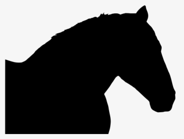 Transparent Mustang Horse Png - Stallion, Png Download, Transparent PNG