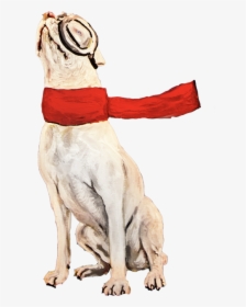 Ted - Dog Catches Something, HD Png Download, Transparent PNG