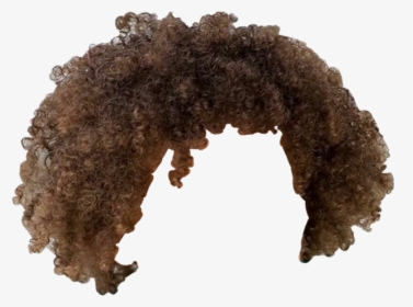 Afro Hair PNG Images, Transparent Afro Hair Image Download - PNGitem
