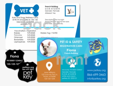 Order Pet Id Card - Nationwide Pet Insurance Card, HD Png Download, Transparent PNG