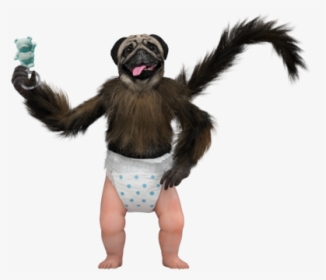 Png Free Download On - Puppy Monkey Baby Drawing, Transparent Png, Transparent PNG